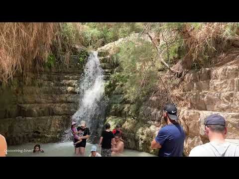 En Gedi Nature Reserve Israel 2023 שמורת טבע עין גדי ישראל