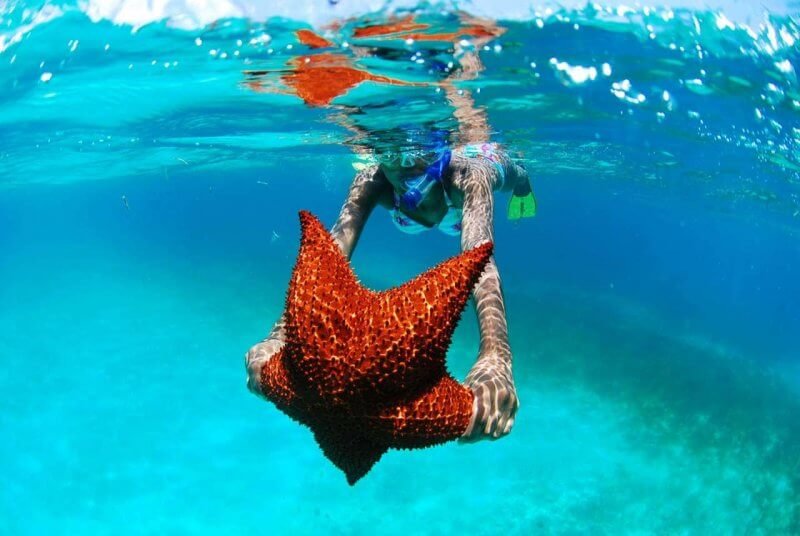 Snorkeling near Saona Island