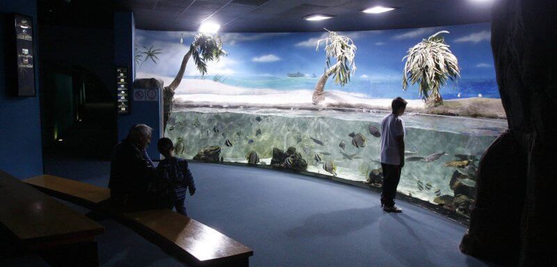 Oceanarium inside