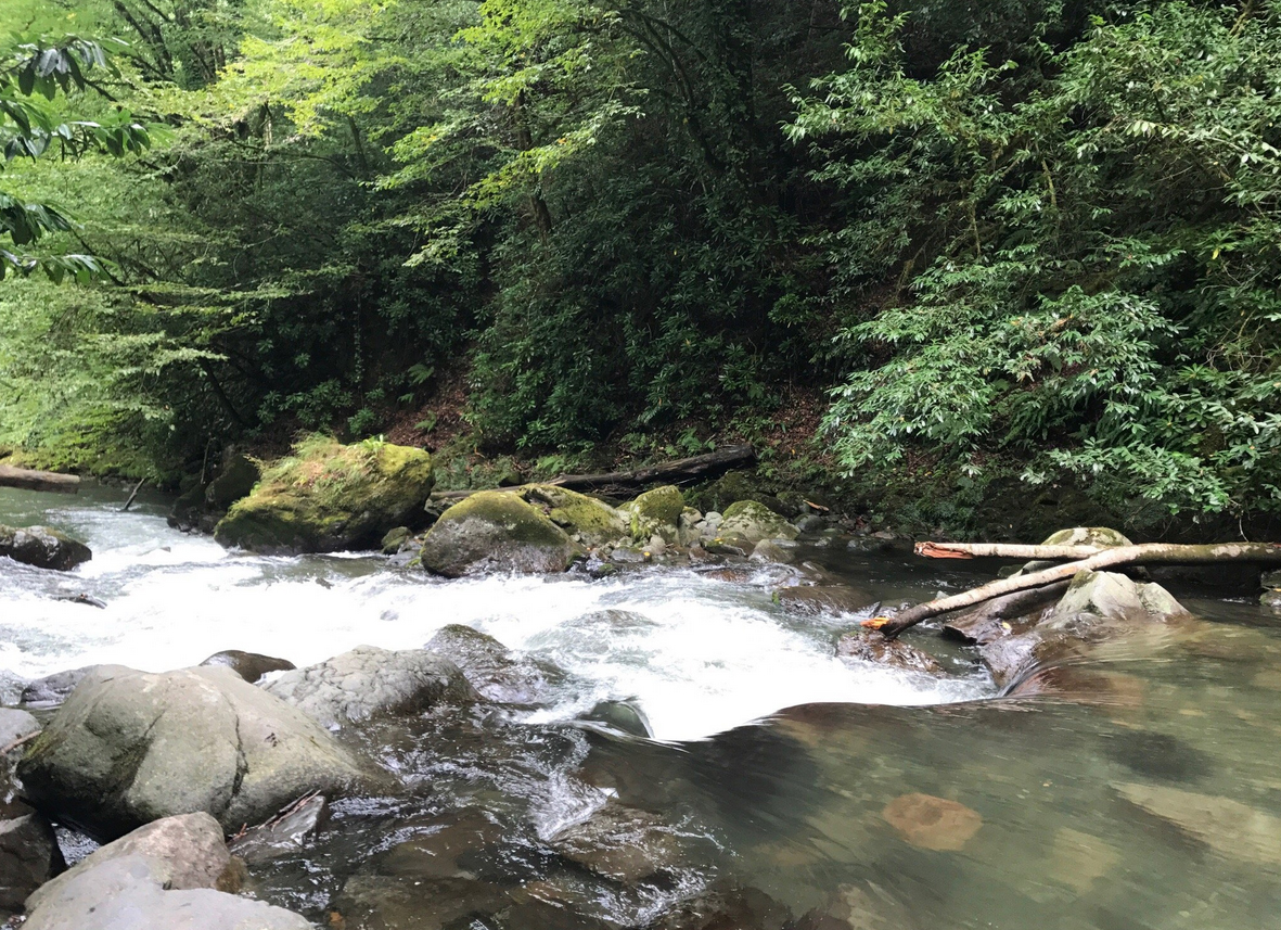 Mountain river in Kobuleti Mountain river