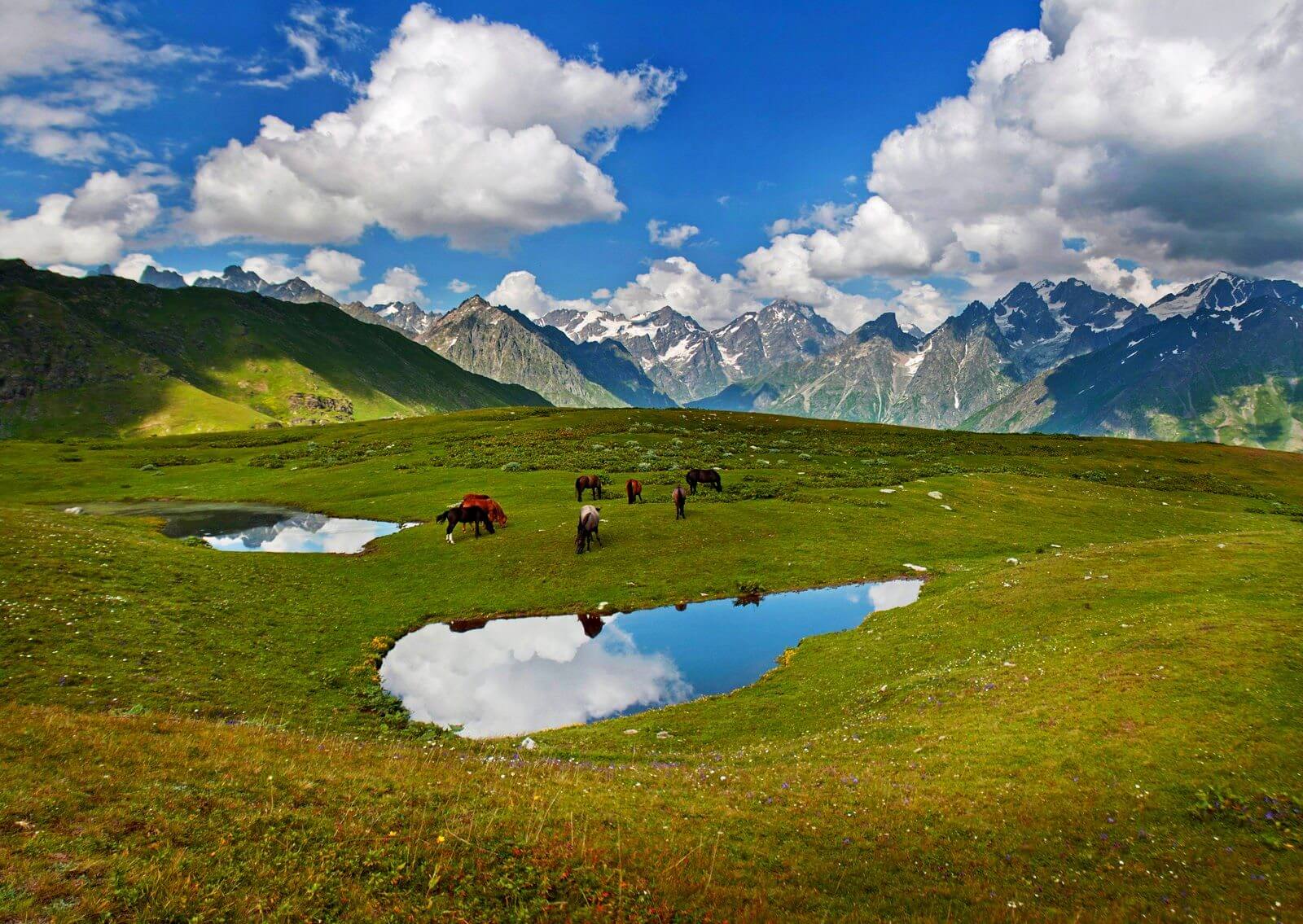 Horses graze near the Koruldi lakes Photos of Koruldi Lakes
