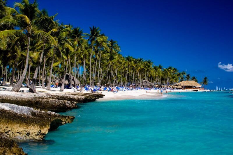 Palm trees in Punta Cana