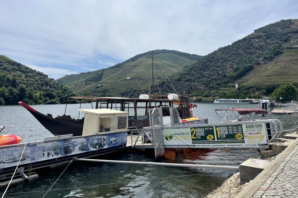 The Port Wine River and its incredible vineyards: exploring the Douro region