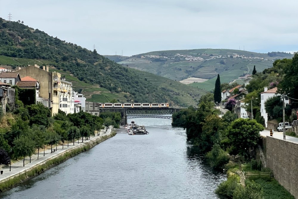 The Port Wine River and its incredible vineyards: exploring the Douro region