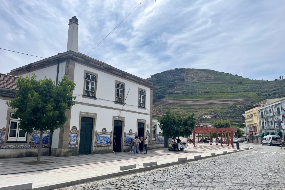 The Port Wine River and its incredible vineyards: exploring the Douro region