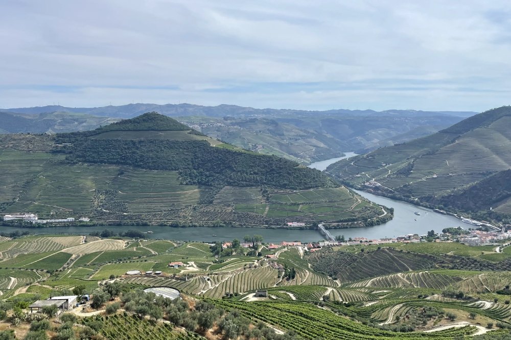 The Port Wine River and its incredible vineyards: exploring the Douro region