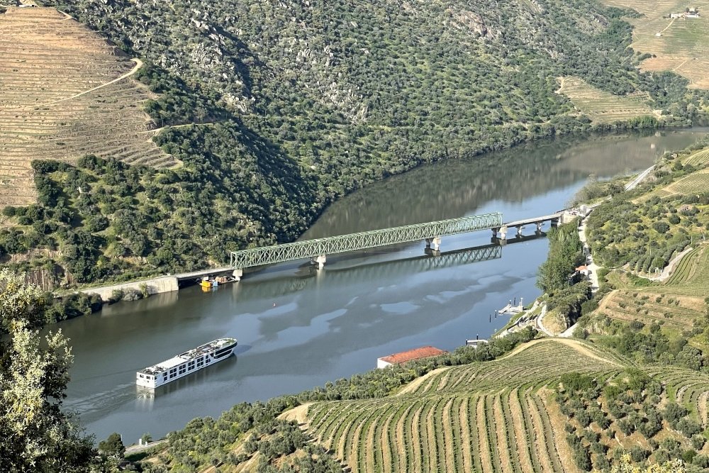 The Port Wine River and its incredible vineyards: exploring the Douro region