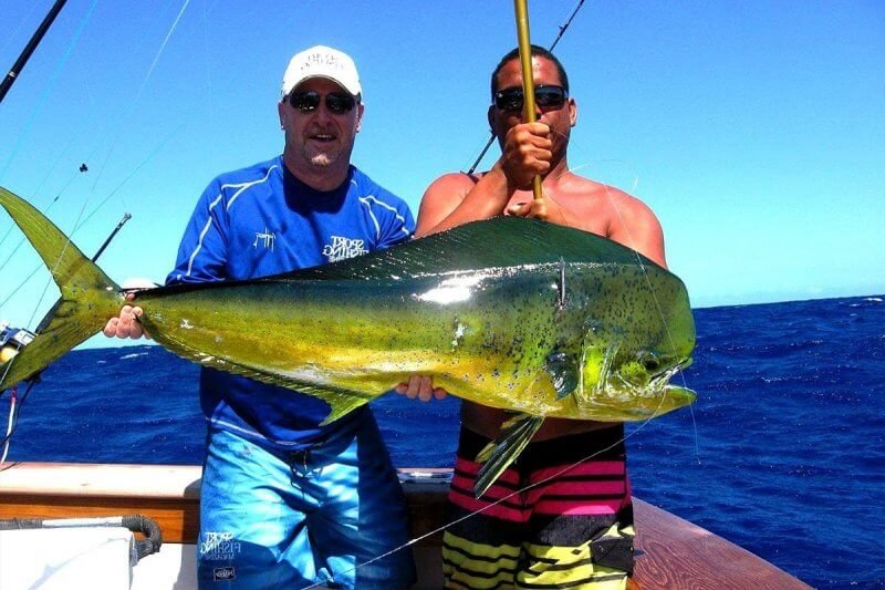 Catch on a fishing trip in Punta Cana