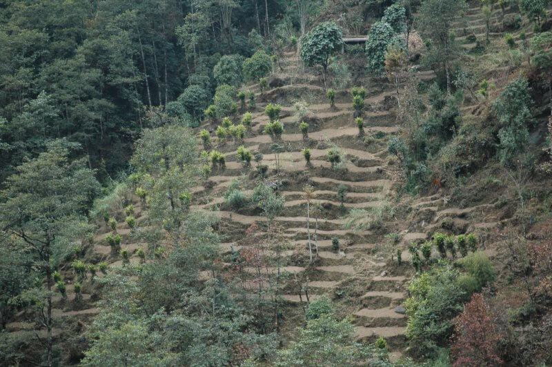 Cardamom Mountains