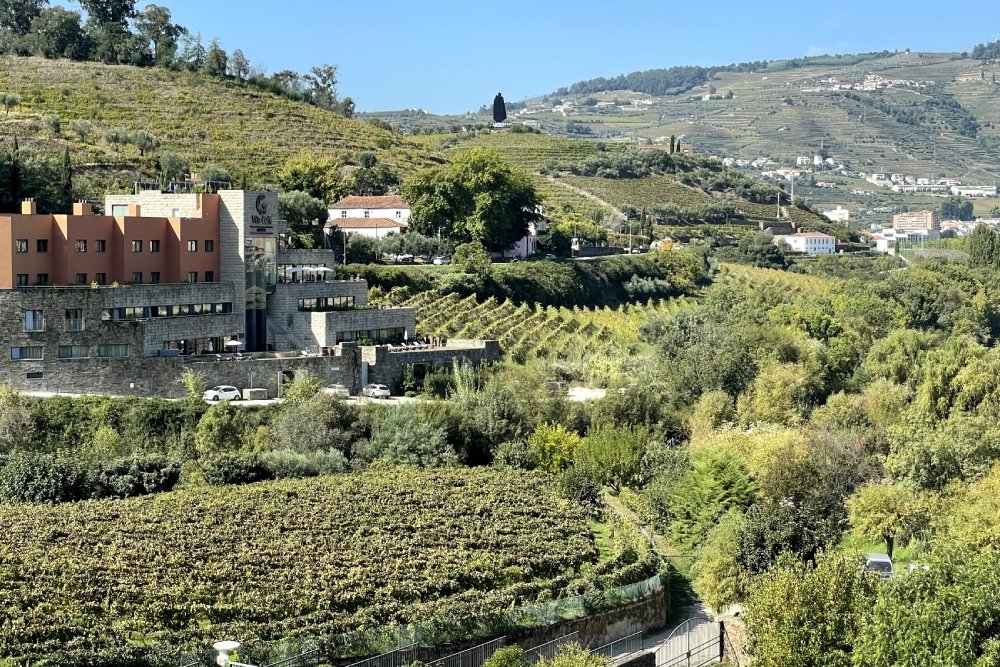 The Port Wine River and its incredible vineyards: exploring the Douro region