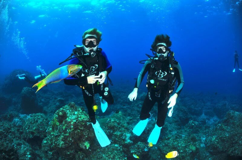 Candolim Diving Experience