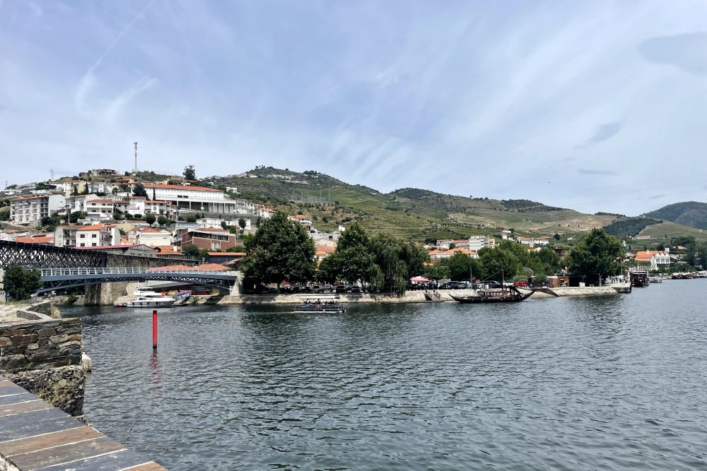 The Port Wine River and its incredible vineyards: exploring the Douro region