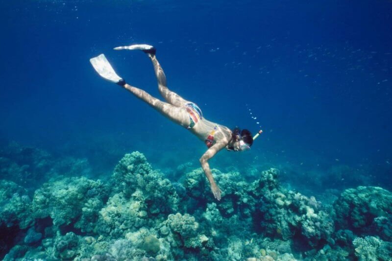 Havelock Snorkeling Experience