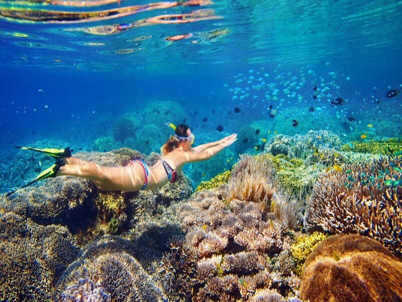 Snorkeling in Punta Cana