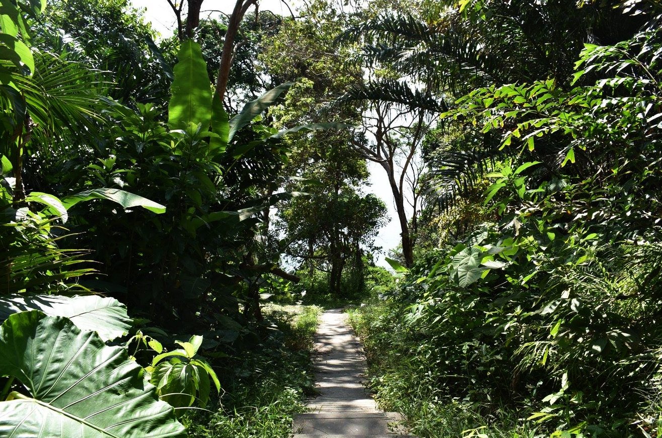 Descent to the beach