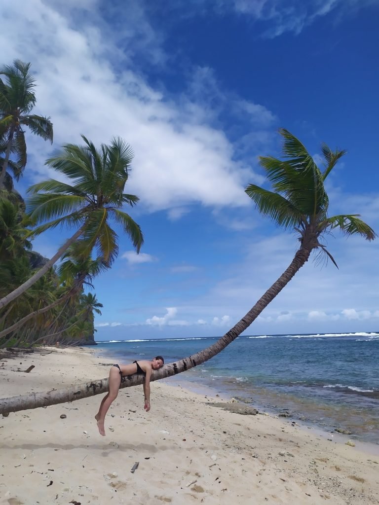 fronton and madama beach palm trees and sand