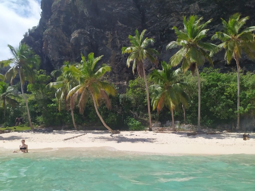 fronton beach and palm trees