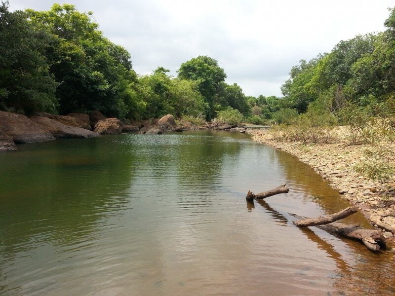 Kotigao Nature Reserve