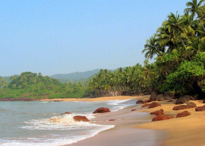 Wild part of Cavelossim Beach