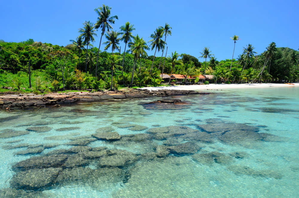 banh bap bay