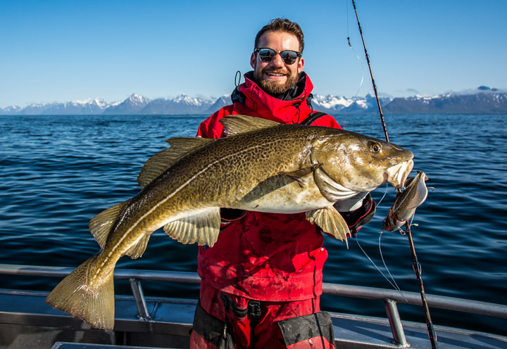 Happy fisherman with a large fish in his hands, Lofoten Islands, Norway Photo: fishing in the Lofoten Islands