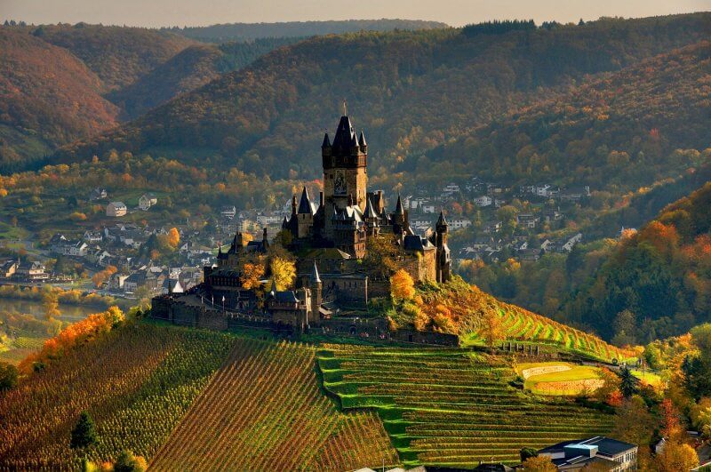 Vineyards of Reichsburg Castle