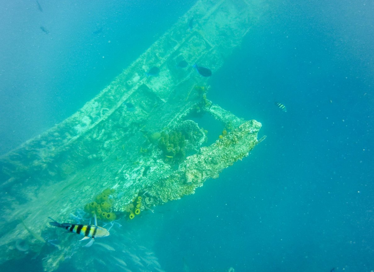 Antilla is the largest sunken ship Antilla Boat Diving