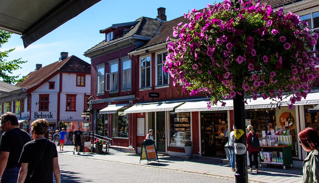 Lillehammer Street in summer Lillehammer city in summer