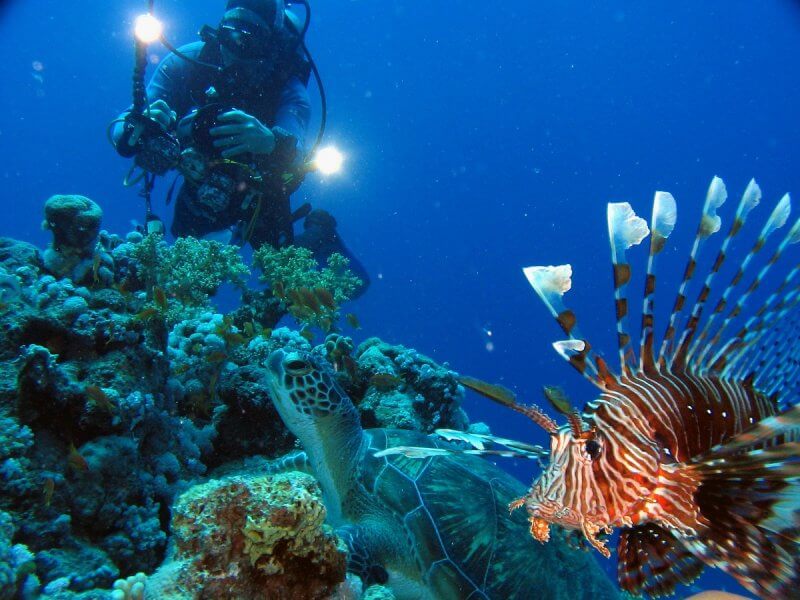 Mauritius Underwater World