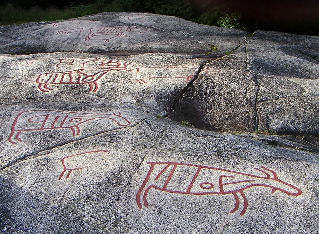 Rock carvings in Narvik, near Brennholtet, depicting animals Photo: rock art