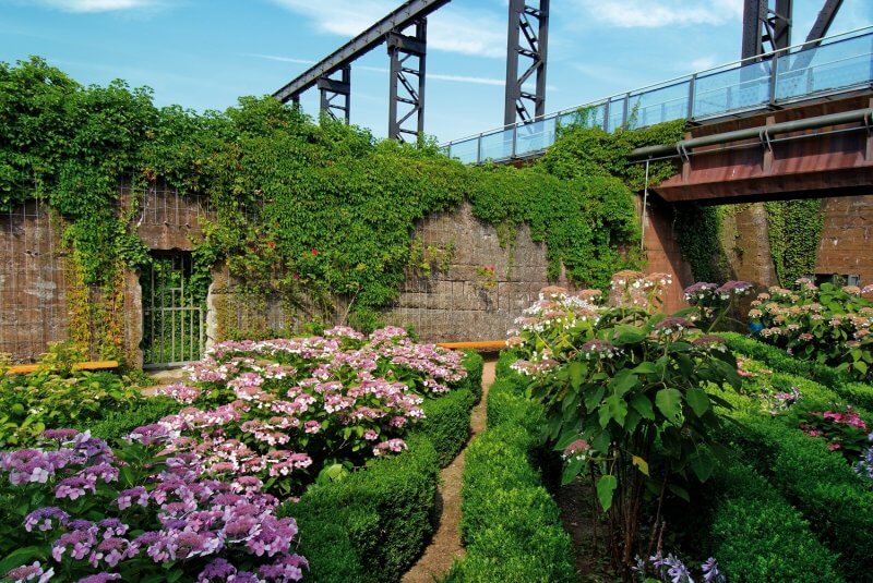 Flowerbed in Landschaftspark, Duisburg Flowerbed in the Landschaftspark