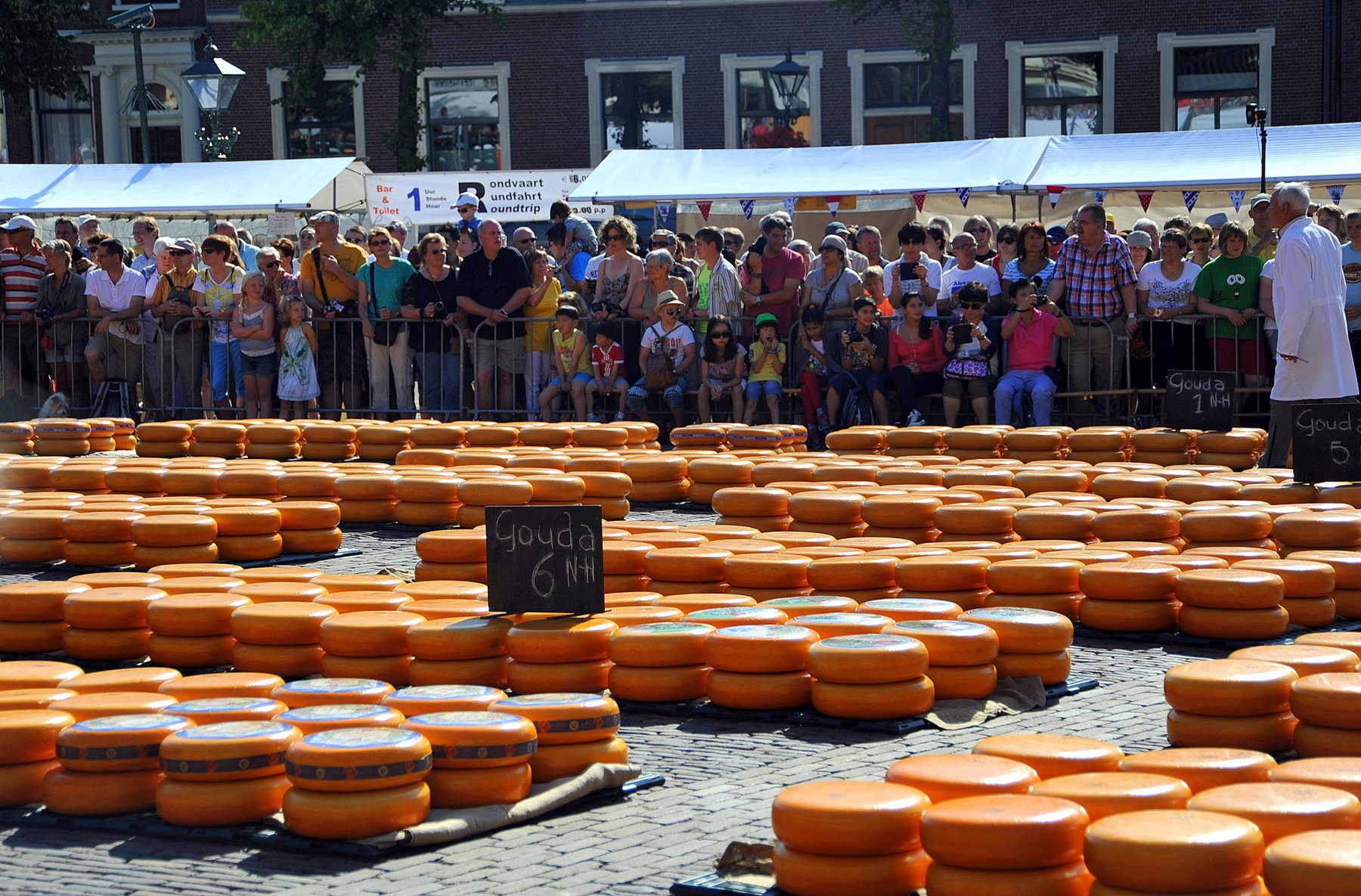 Cheese laid out in rows on the square Cheese Market