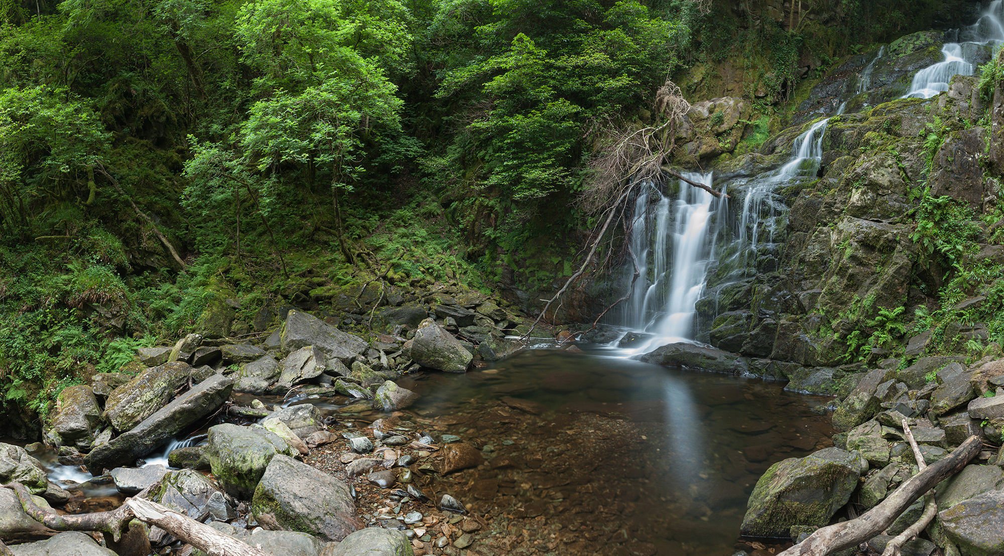 Pictured is Tork Waterfall Tork Waterfall