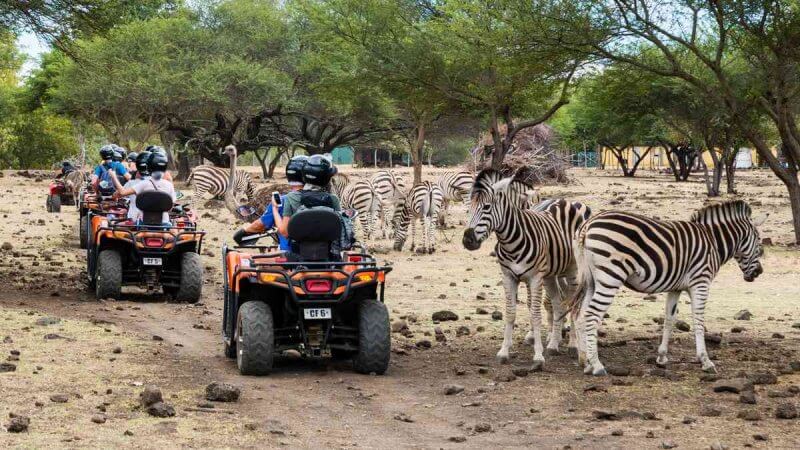 Safari in the park