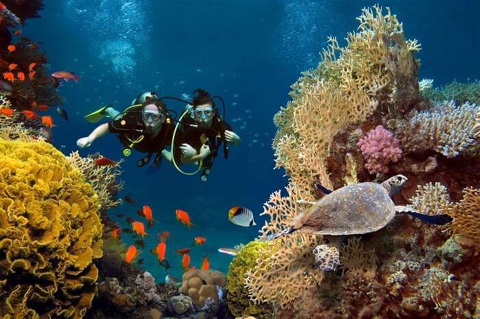 Photo of two divers near a reef off the coast of Rodriguez Island, Mauritius Diving in Rodriguez