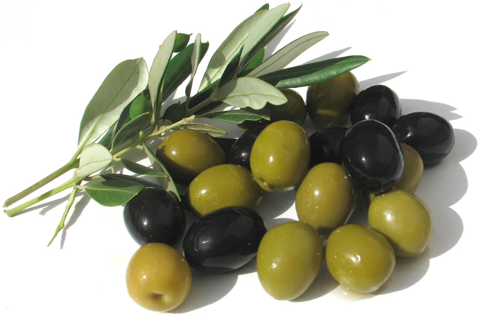 Olives of different stages of maturity Olives of different stages of maturity - green and black