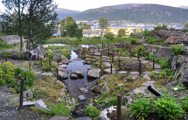 Tromsø Arctic High-Altitude Botanical Garden Tromsø Botanical Garden