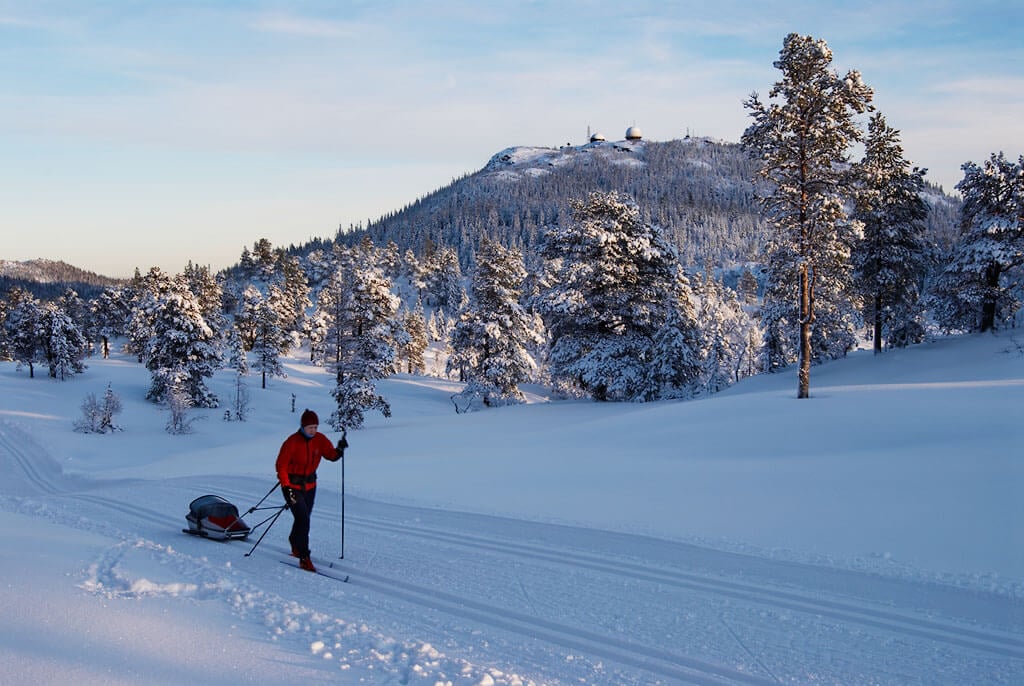 Photo of a skier Ski trip