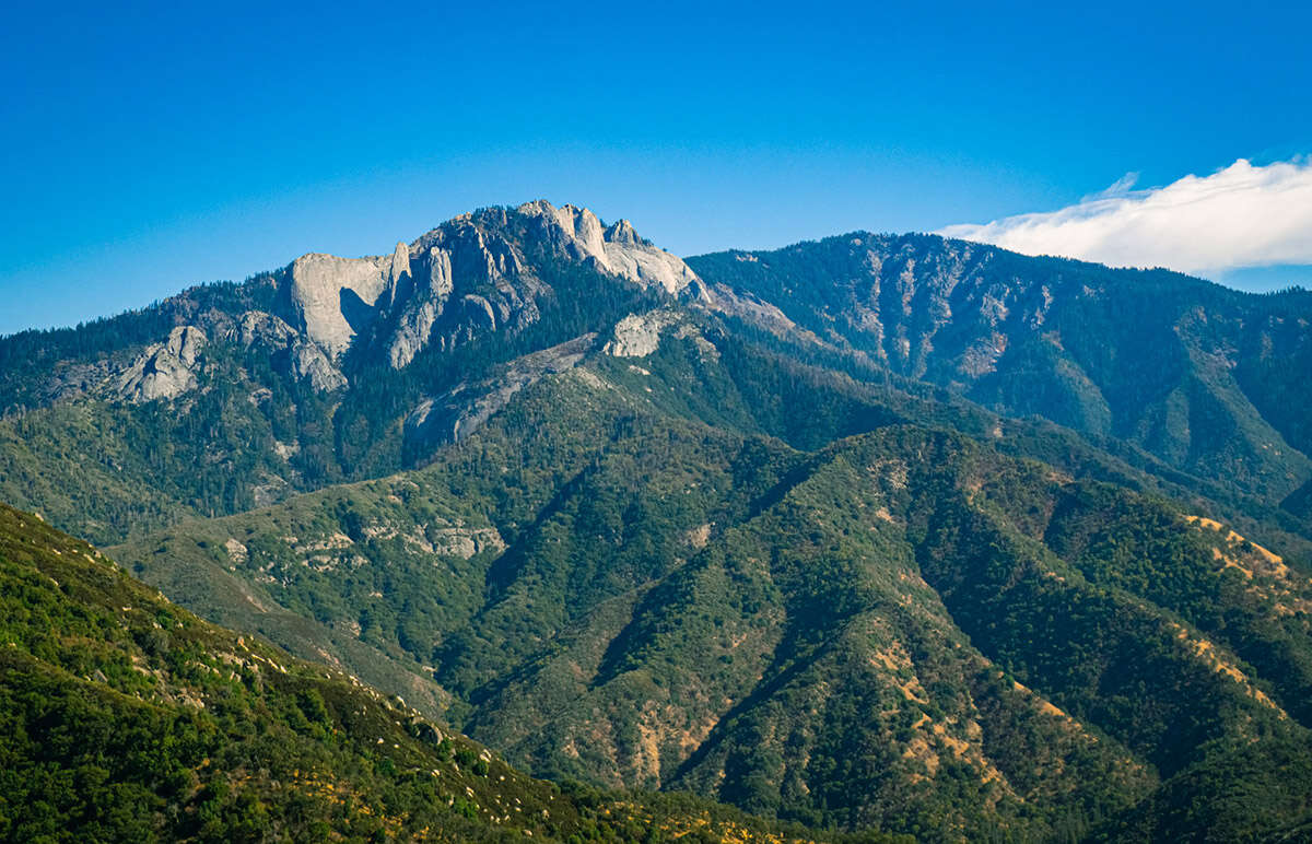 mountains trees