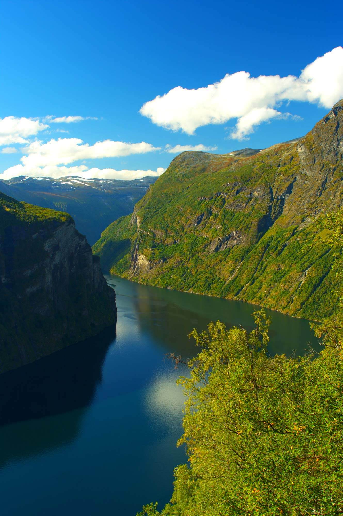 Photo of Sognefjord in summer The Great Sognefjord in summer